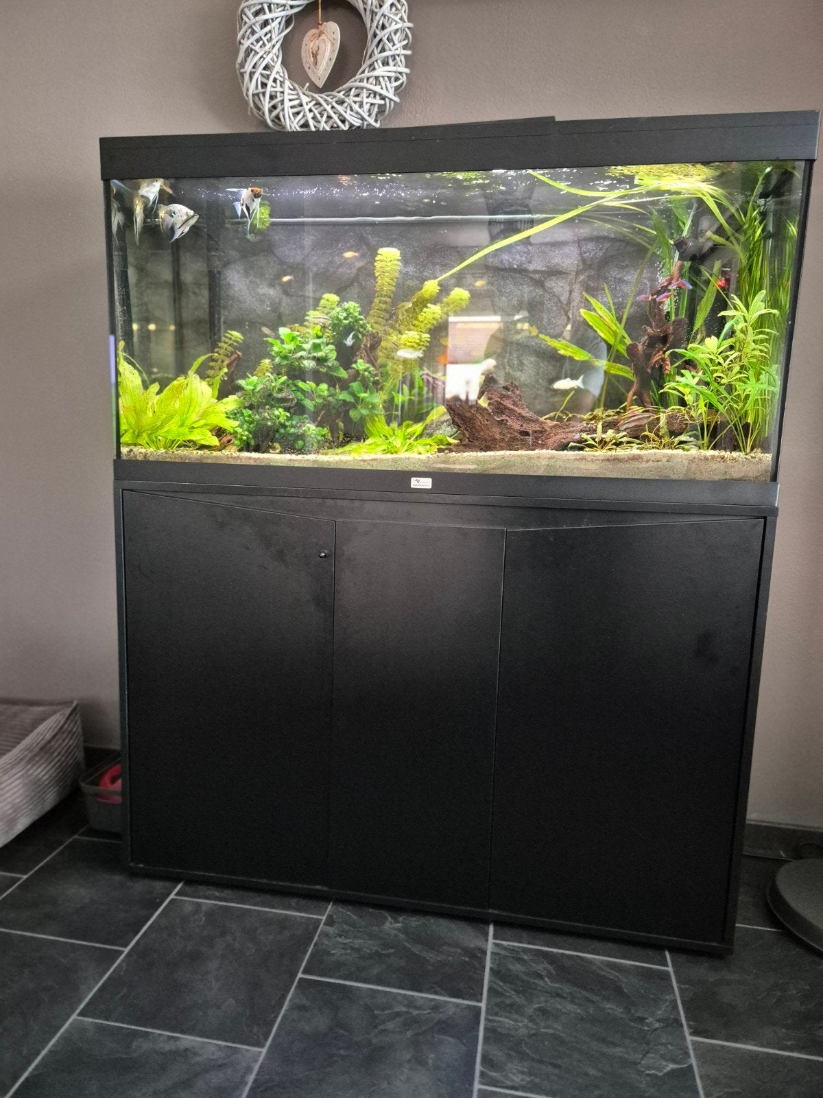 Compleet ingericht aquarium met alle toebehoren, Ophalen, Aquatlantis, Inclusief vissen, Gevuld zoetwateraquarium