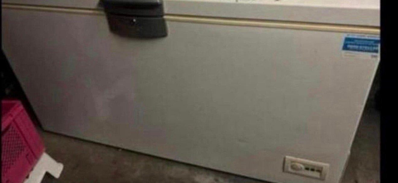 Beko diepvrieskast, Witgoed en Apparatuur, Ophalen of Verzenden, Gebruikt, Minder dan 60 cm, 160 cm of meer