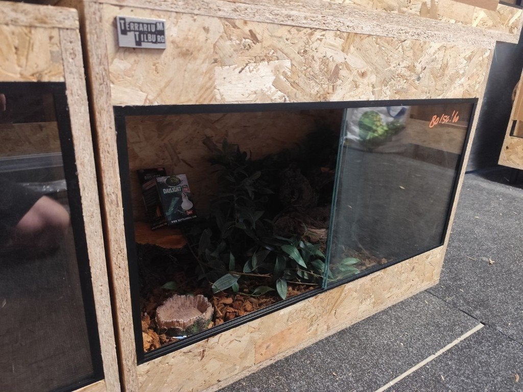Osb3 terrarium 80/50/60 ingericht (4), Ophalen, Nieuw, Terrarium of Paludarium