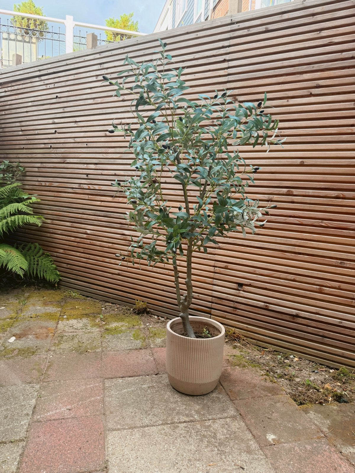 Neppe Olijfboom met Pot - Decoratieve Kunstplant, Ophalen of Verzenden, Bloeit niet, Overige soorten, Volle zon