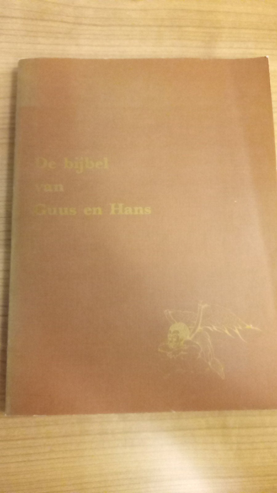 De bijbel van Guus en Hans, Gelezen, Guus Dijkhuizen, Christendom | Protestants, Ophalen of Verzenden