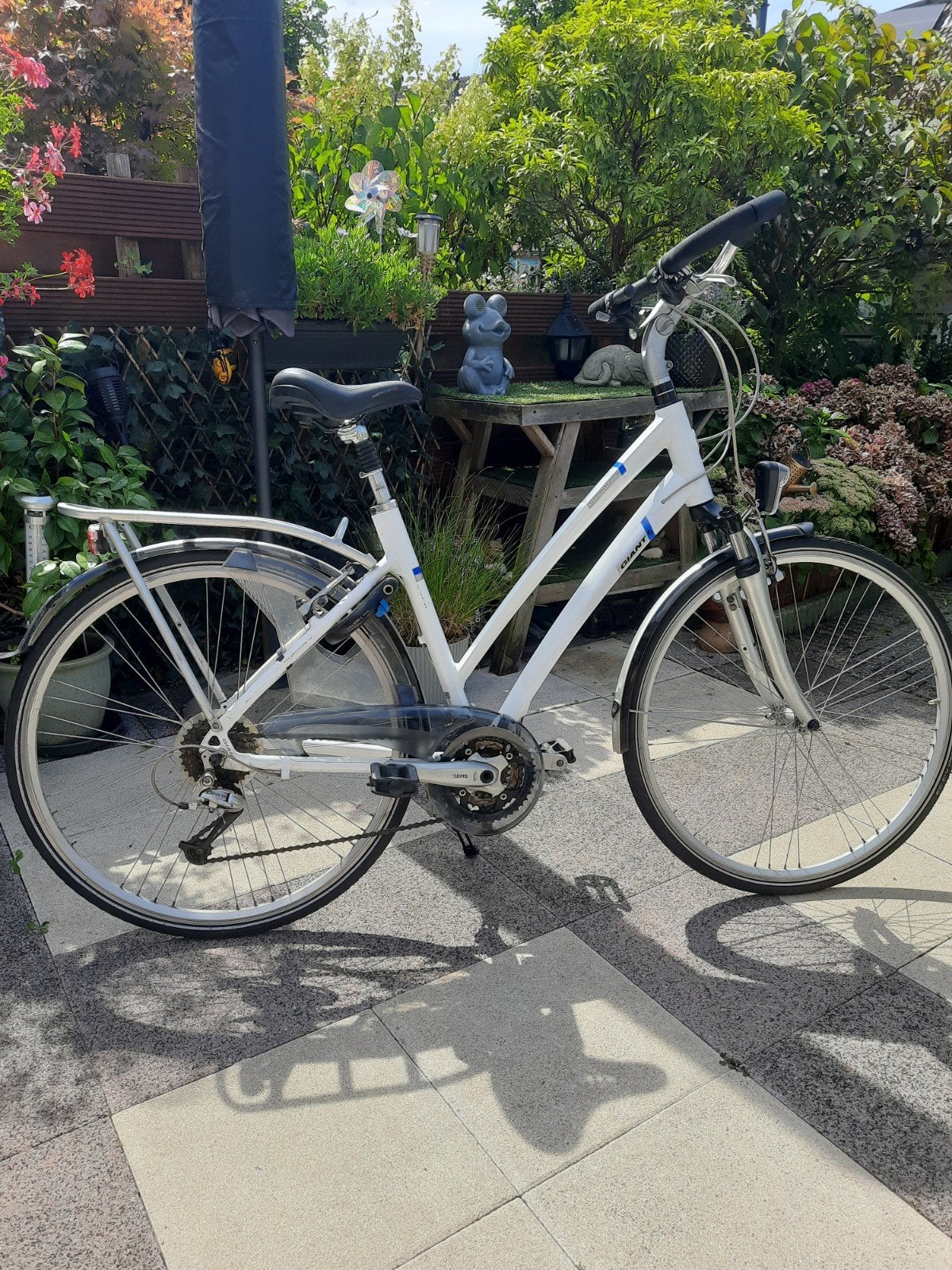 Giant Cosmo RS Damesfiets - Framehoogte 50cm, Ophalen, Gebruikt, Velgrem, Versnellingen