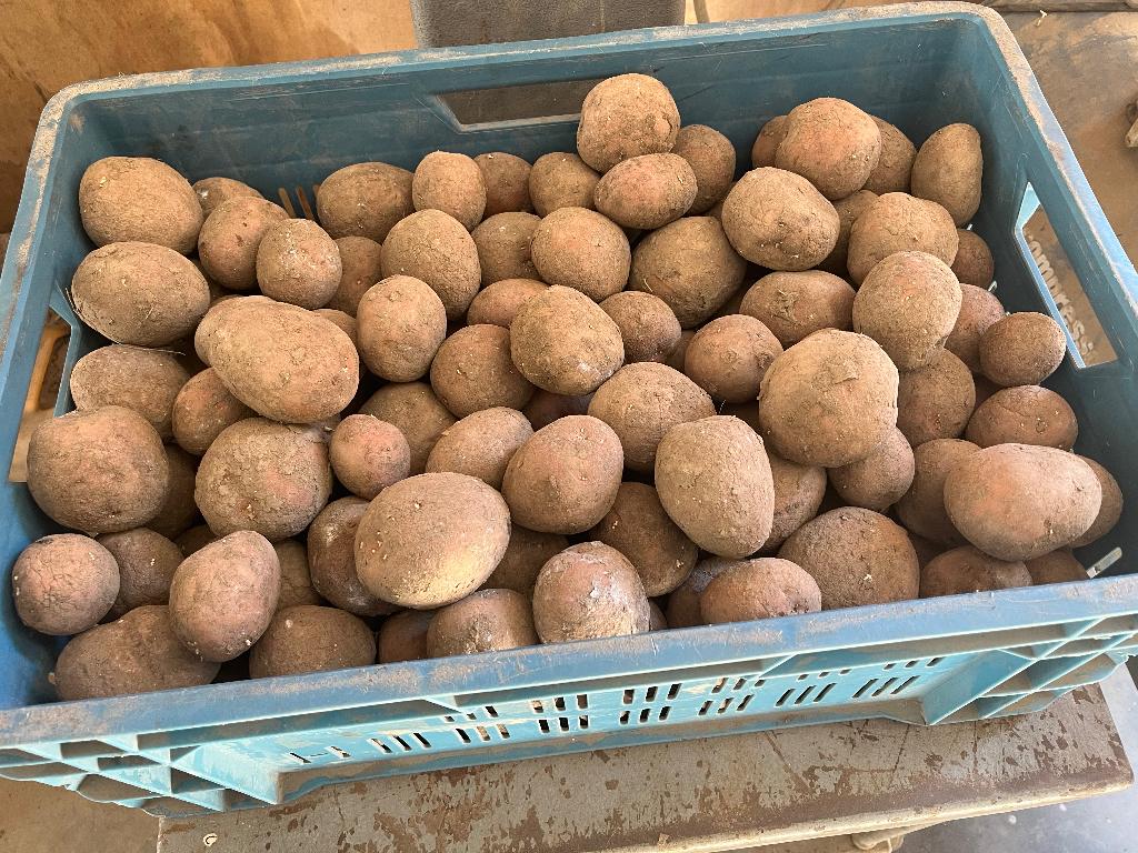 Bildtstar eet aardappelen, Diversen, Levensmiddelen, Ophalen