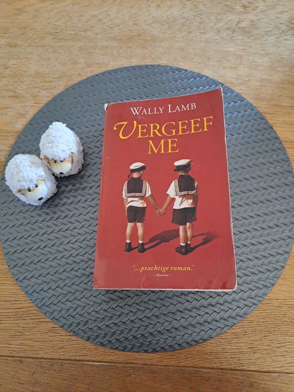 Vergeef Me - Wally Lamb (Paperback), Ophalen of Verzenden, Gelezen, Wally Lamb, Nederland