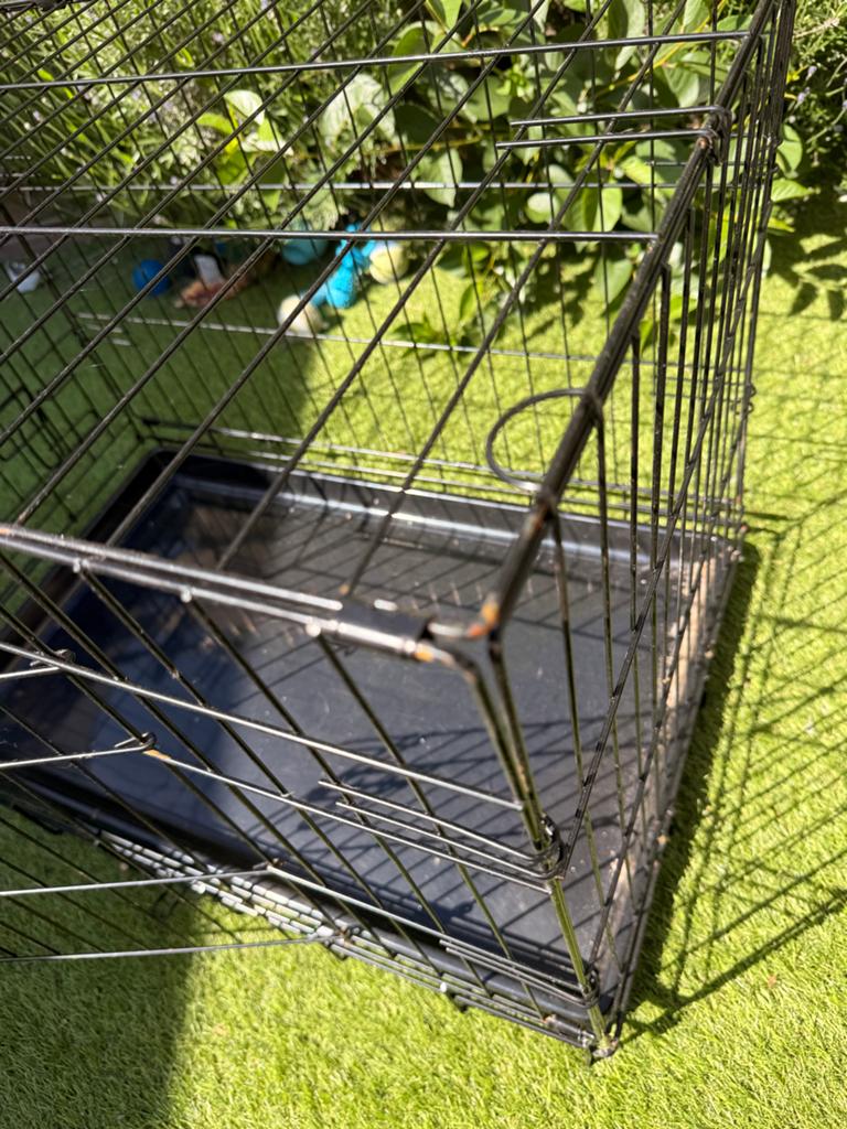 Honden bench, Ophalen, Zo goed als nieuw