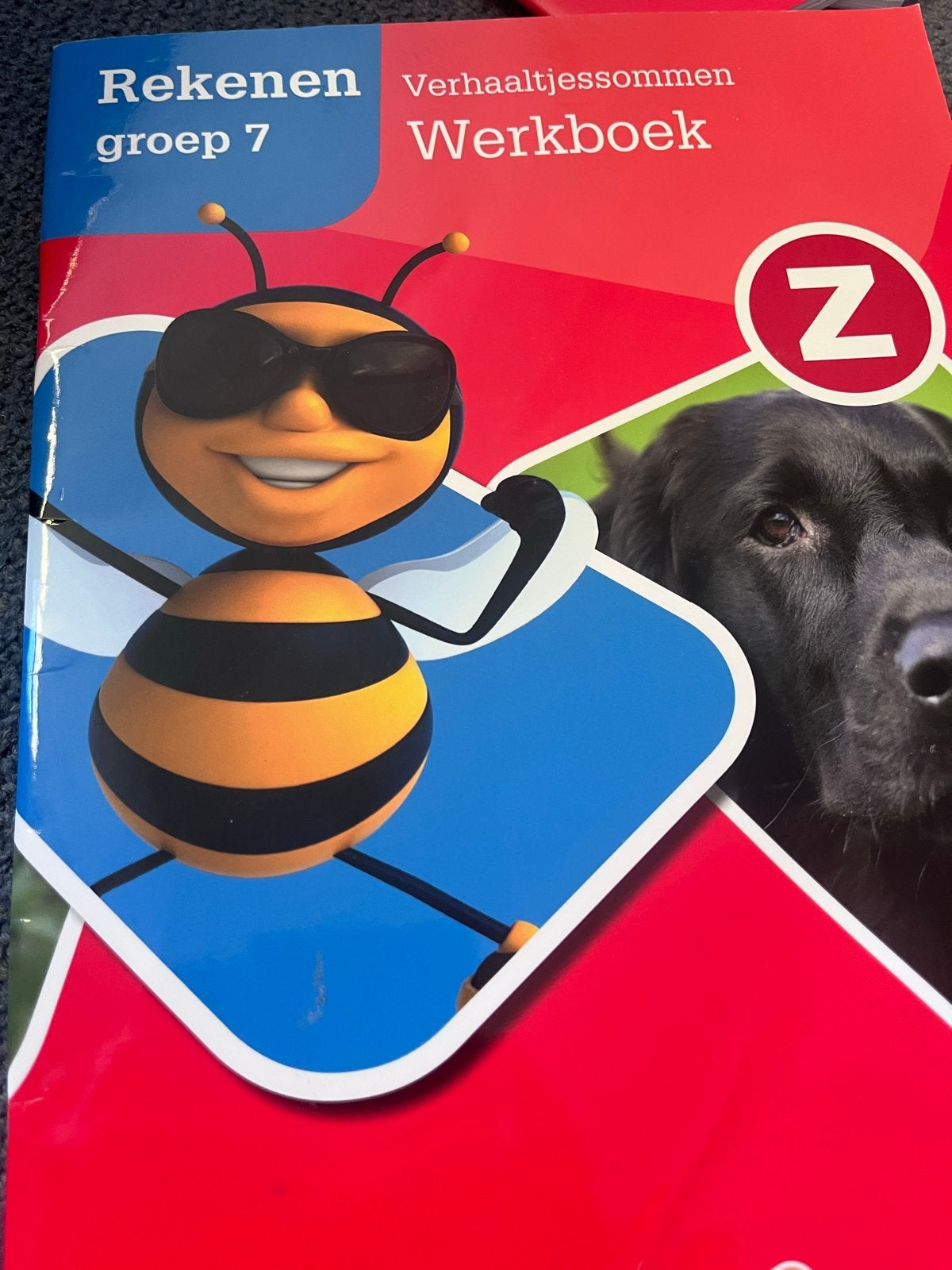 Rekenen groep 7 Verhaaltjessommen Werkboek, Boeken, Ophalen of Verzenden, Zo goed als nieuw, Overige niveaus, Overige vakken