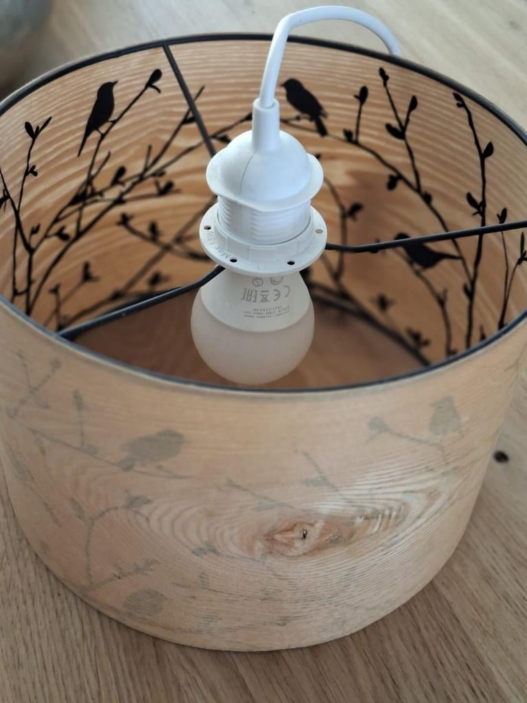 Hanglamp met vogeltjes, doorschijnende binnenzijde, Natuurlijk, Speels, Modern, Ophalen of Verzenden, Zo goed als nieuw, Overige materialen