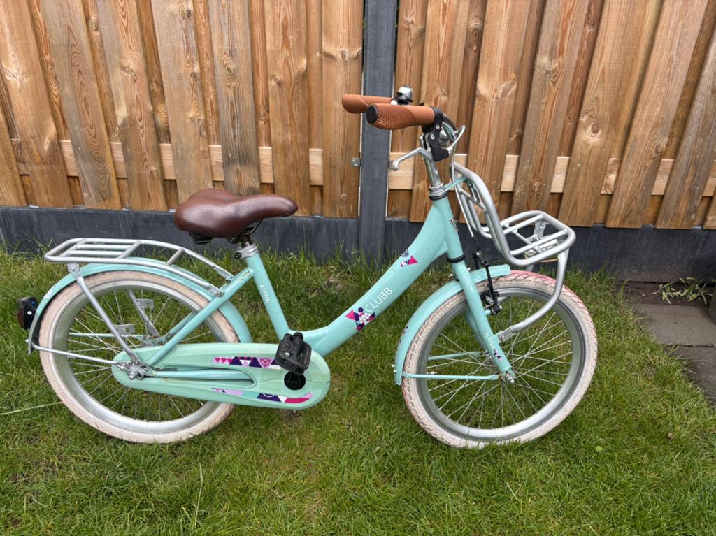 20 inch meisjes fietsen oa alpina in rijklare staat, Ophalen of Verzenden, Zo goed als nieuw, 20 inch