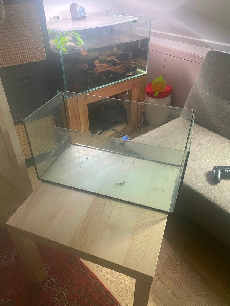 Aquarium, Ophalen, Leeg aquarium