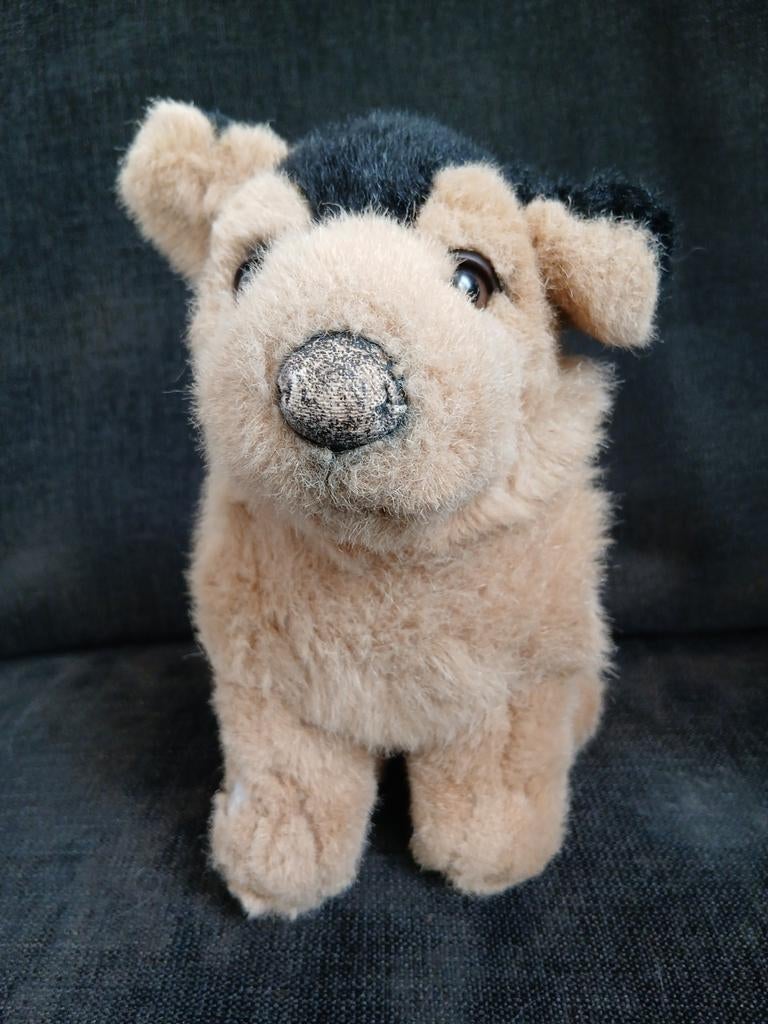 Hond hondenknuffel, Kinderen en Baby's, Speelgoed | Knuffels en Pluche, Gebruikt, Overige merken, Overige karakters, Middelgroot (20 tot 80 cm)
