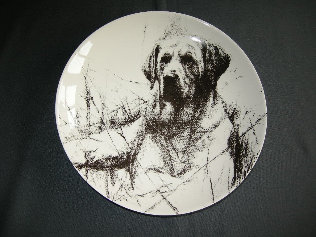 Plateelbakkerij Schoonhoven Braaf bord / schaal Labrador, Ophalen of Verzenden