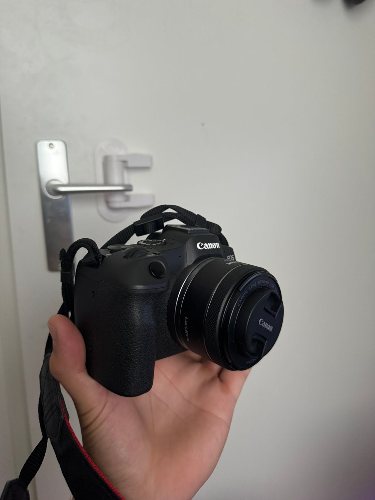Canon EOS R8 + Canon RF 50mm F1.8 STM