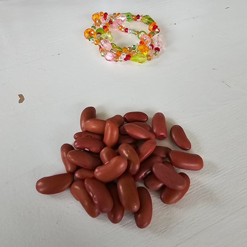Rode kidneybonen, Tuin en Terras, Verzenden
