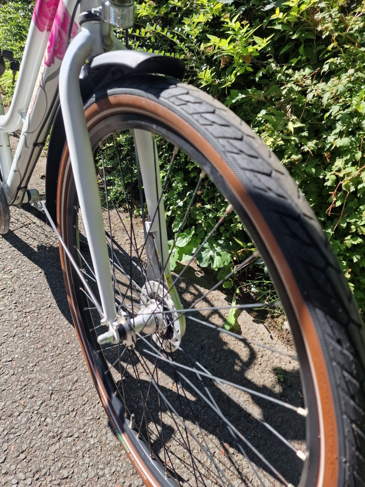 giant damesfiets, Fietsen en Brommers, Ophalen, Minder dan 10 versnellingen, Gebruikt, 47 tot 50 cm
