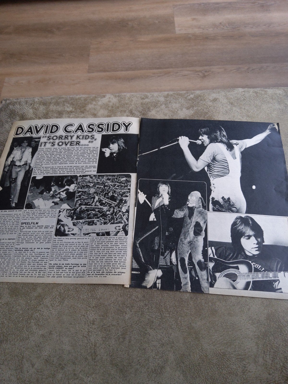 David Cassidy, Ophalen of Verzenden, Zo goed als nieuw, Overige formaten, Poprock