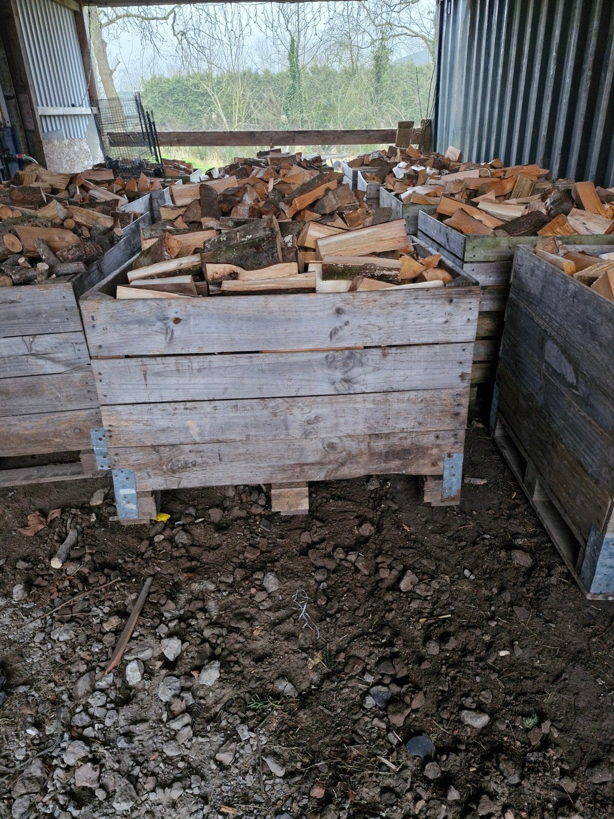 Haard hout, 6 m³ of meer, Ophalen, Elzenhout