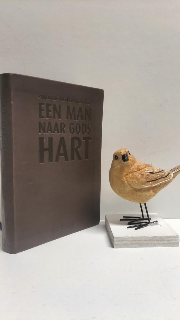 George, Jim; Praktische overdenkingen Een man naar Gods hart, Ophalen of Verzenden, Gelezen, Christendom | Protestants