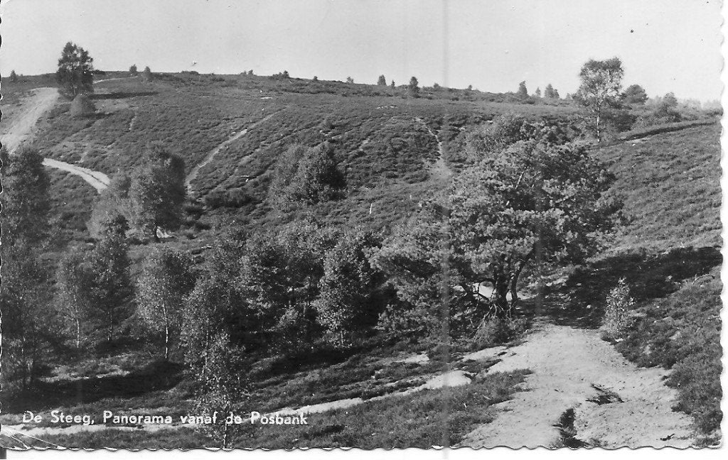 Oude Ansichtkaart De Steeg, Panorama vanaf de Posbank 1951, Ophalen of Verzenden, 1940 tot 1960, Gelopen, Gelderland