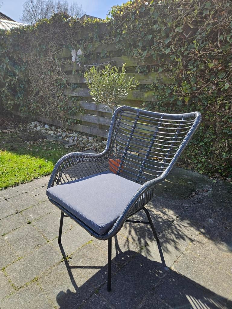 Loungestoel Wicker Zwart, Ophalen, Wicker
