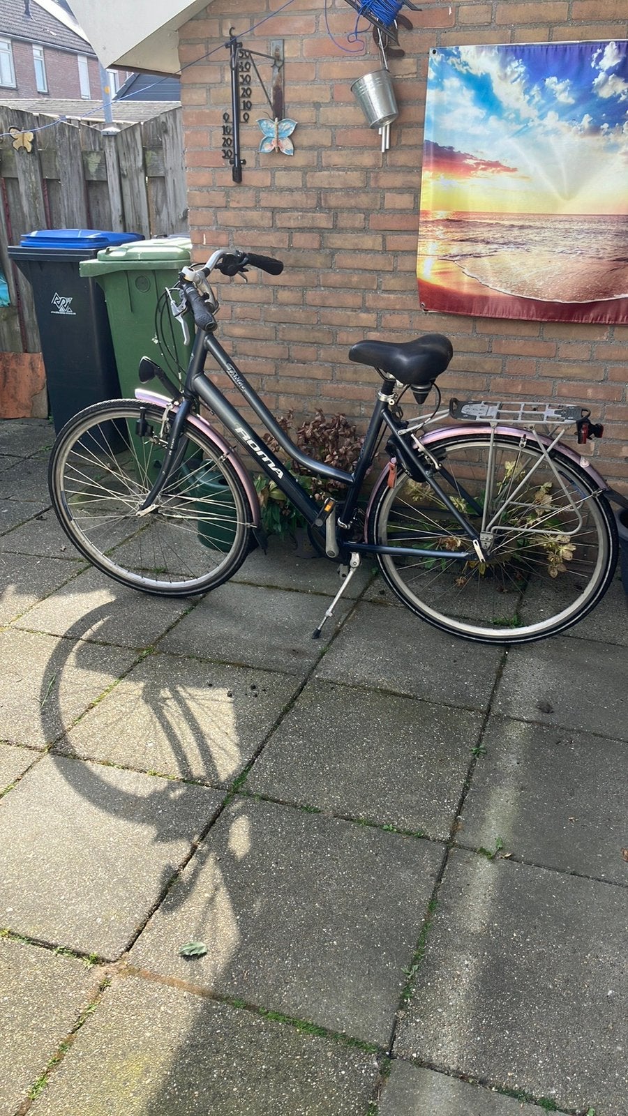 Sportieve lichtgewicht damesfiets! 3  8 versnellingen, Fietsen en Brommers, Fietsen | Dames | Damesfietsen, Gebruikt, Overige merken