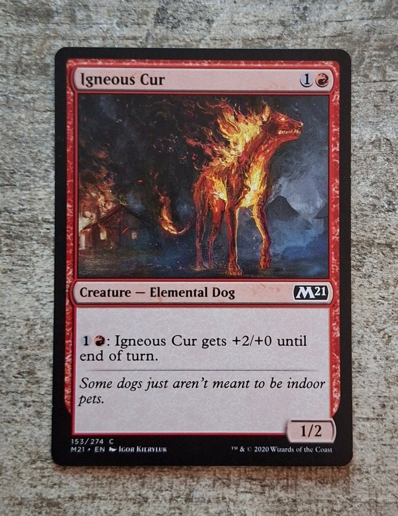 Igneous Cur - Magic the Gathering, Verzenden, Gebruikt, Losse kaart