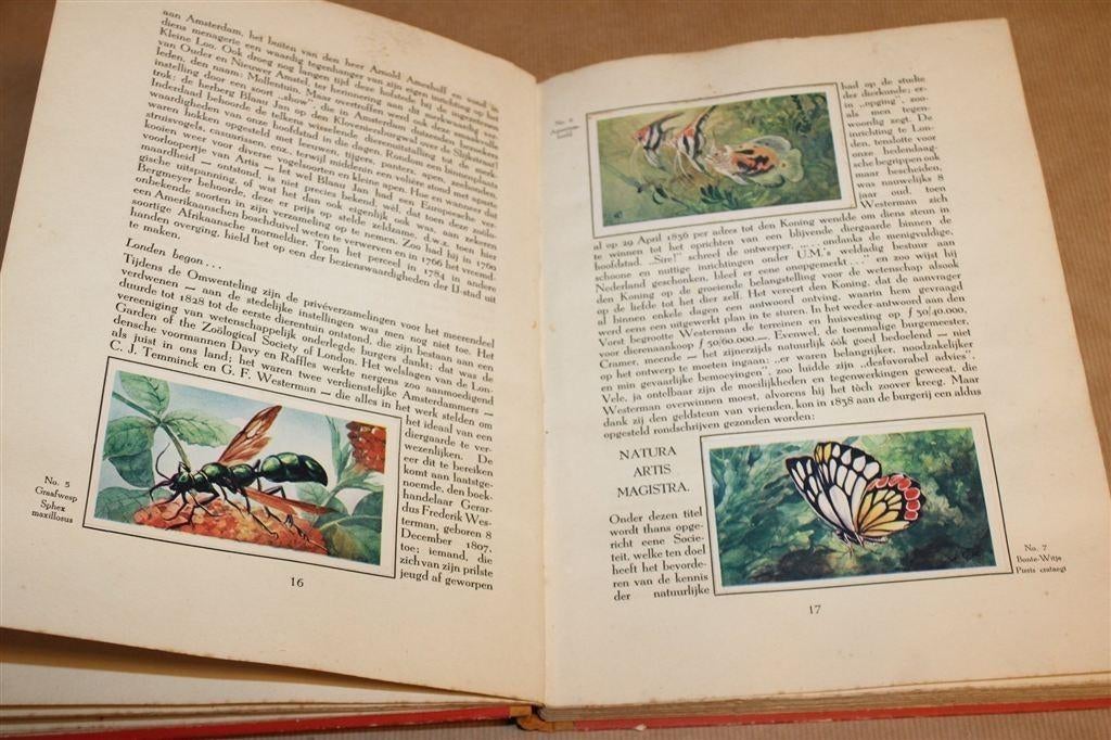 Artis Plaatjesalbum — 100 Jaar Artis [Compleet] 1938, Ophalen of Verzenden, Gelezen