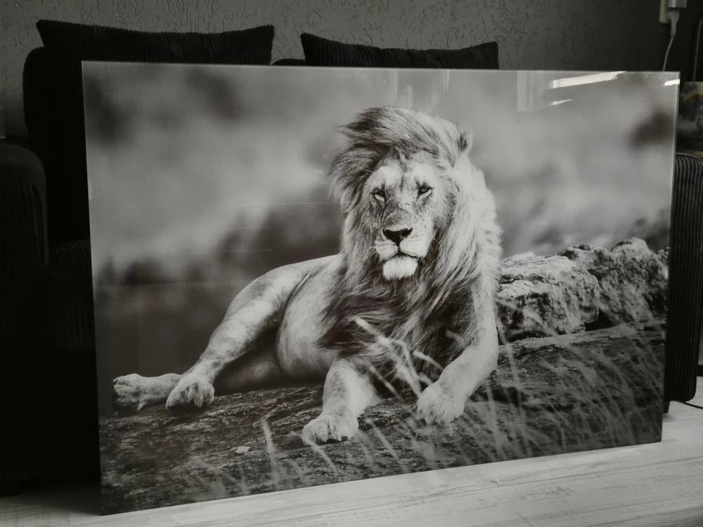 Foto in glas. Zwaar om te tillen. Maten zijn 120x80., Audio, Tv en Foto, Fotografie | Fotolijsten, Ophalen, Zo goed als nieuw