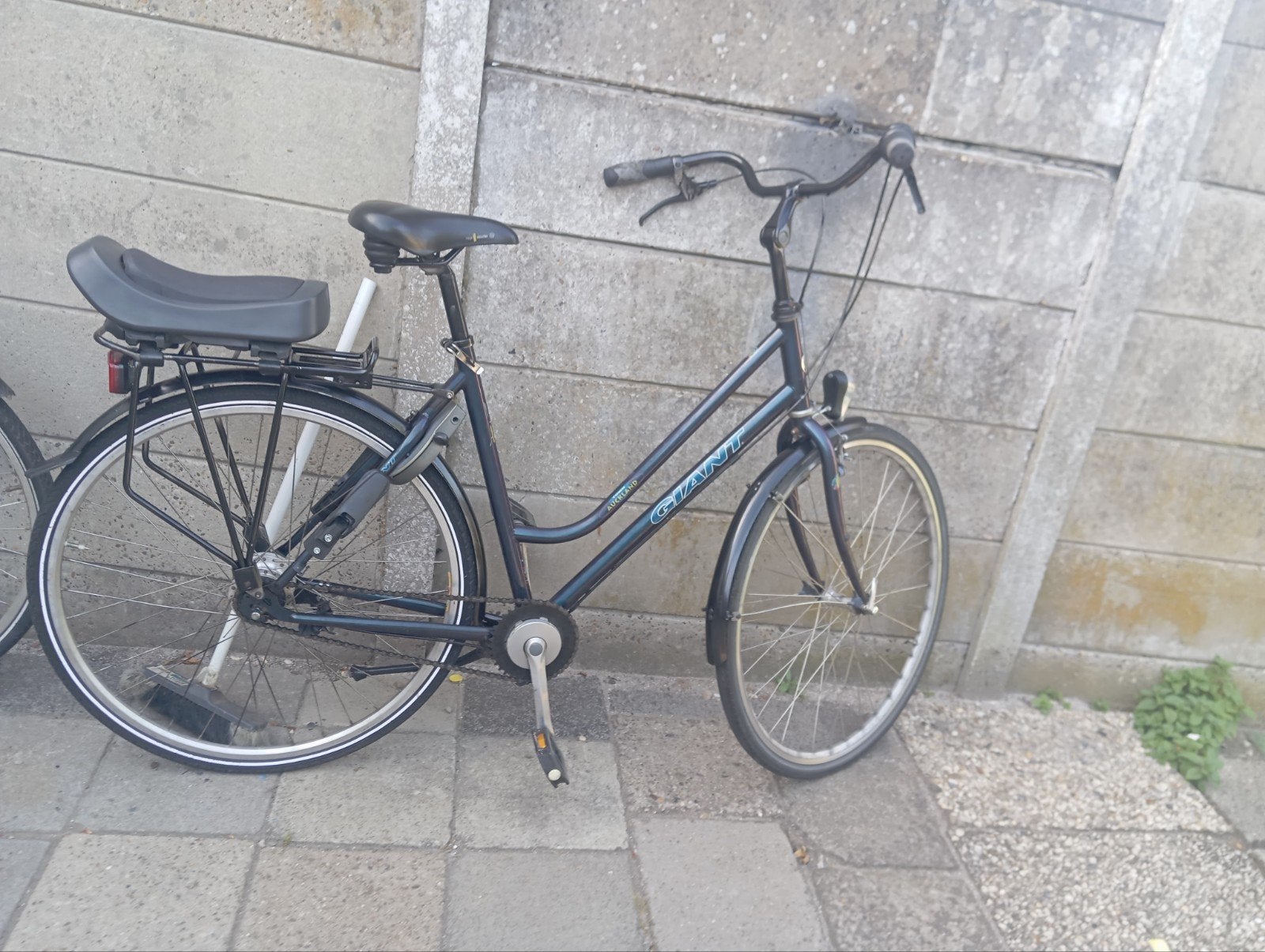 Giant damesfiets met kinderzitje, Fietsen en Brommers, Fietsen | Dames | Damesfietsen, Velgrem, Versnellingen, 53 tot 56 cm, Gebruikt