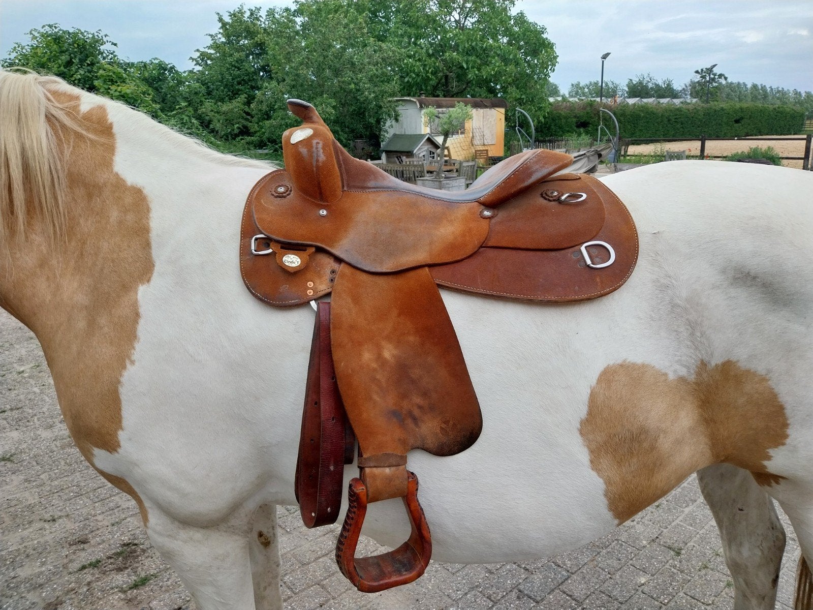 Westernzadel Circle-Y Trainer, Ophalen, Gebruikt