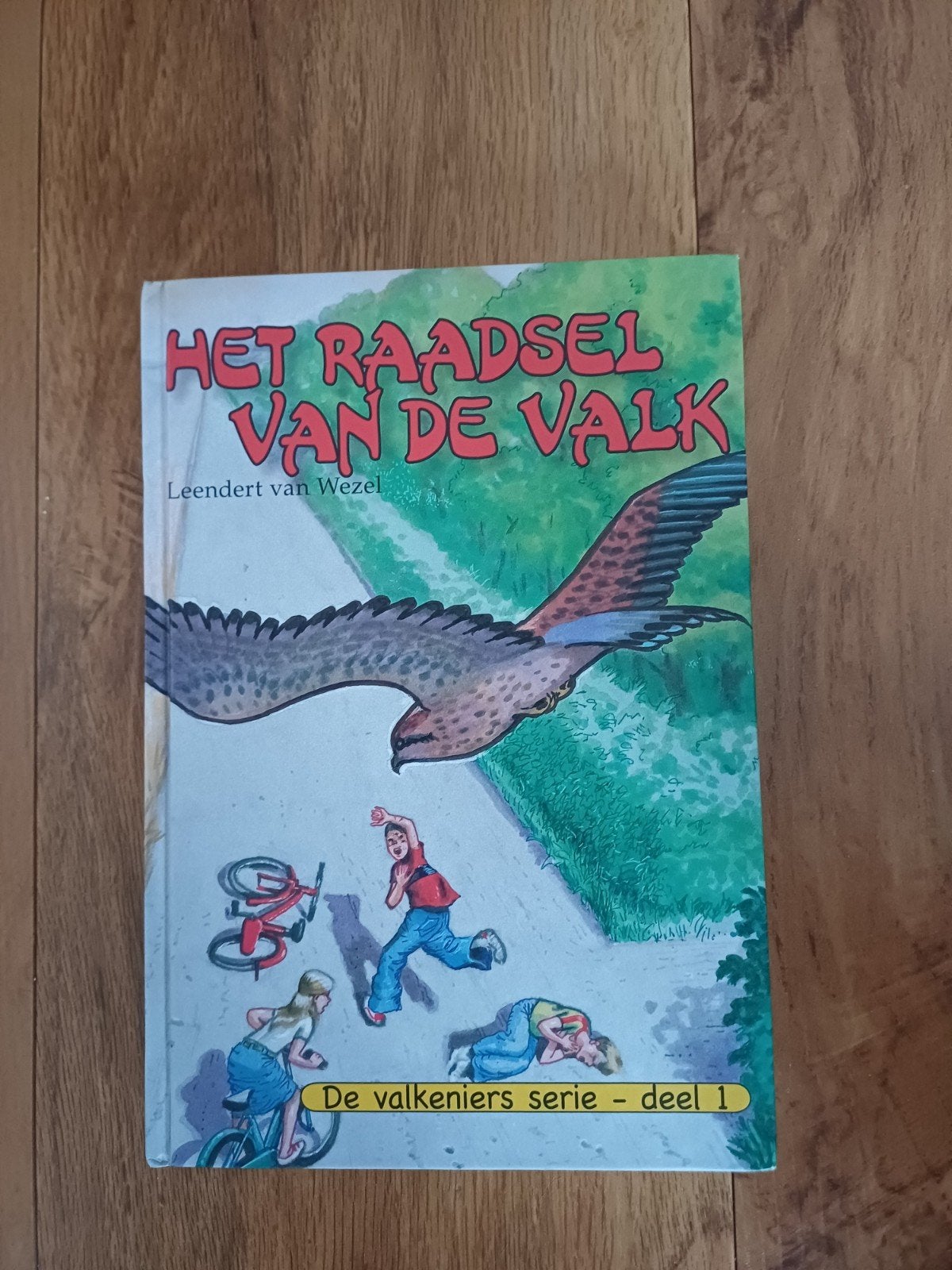 Leendert van Wezel - Het raadsel van de valk, Ophalen of Verzenden, Zo goed als nieuw, Leendert van Wezel