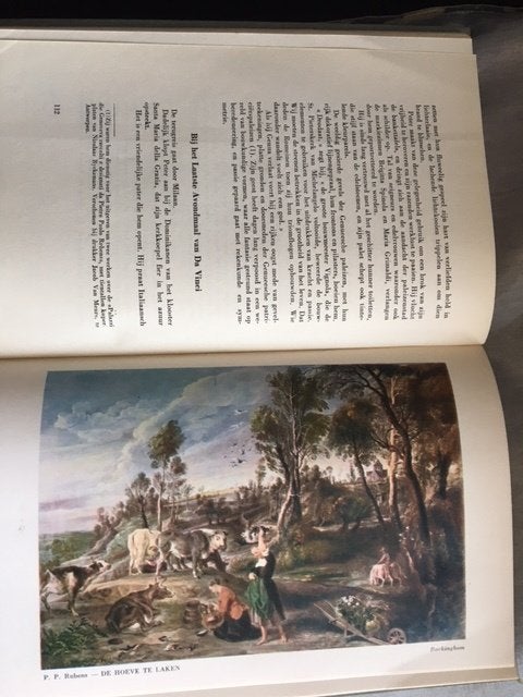 Peter Paul Rubens,  roman van zijn leven : Jef Crick € 7,50, Ophalen of Verzenden, Gelezen