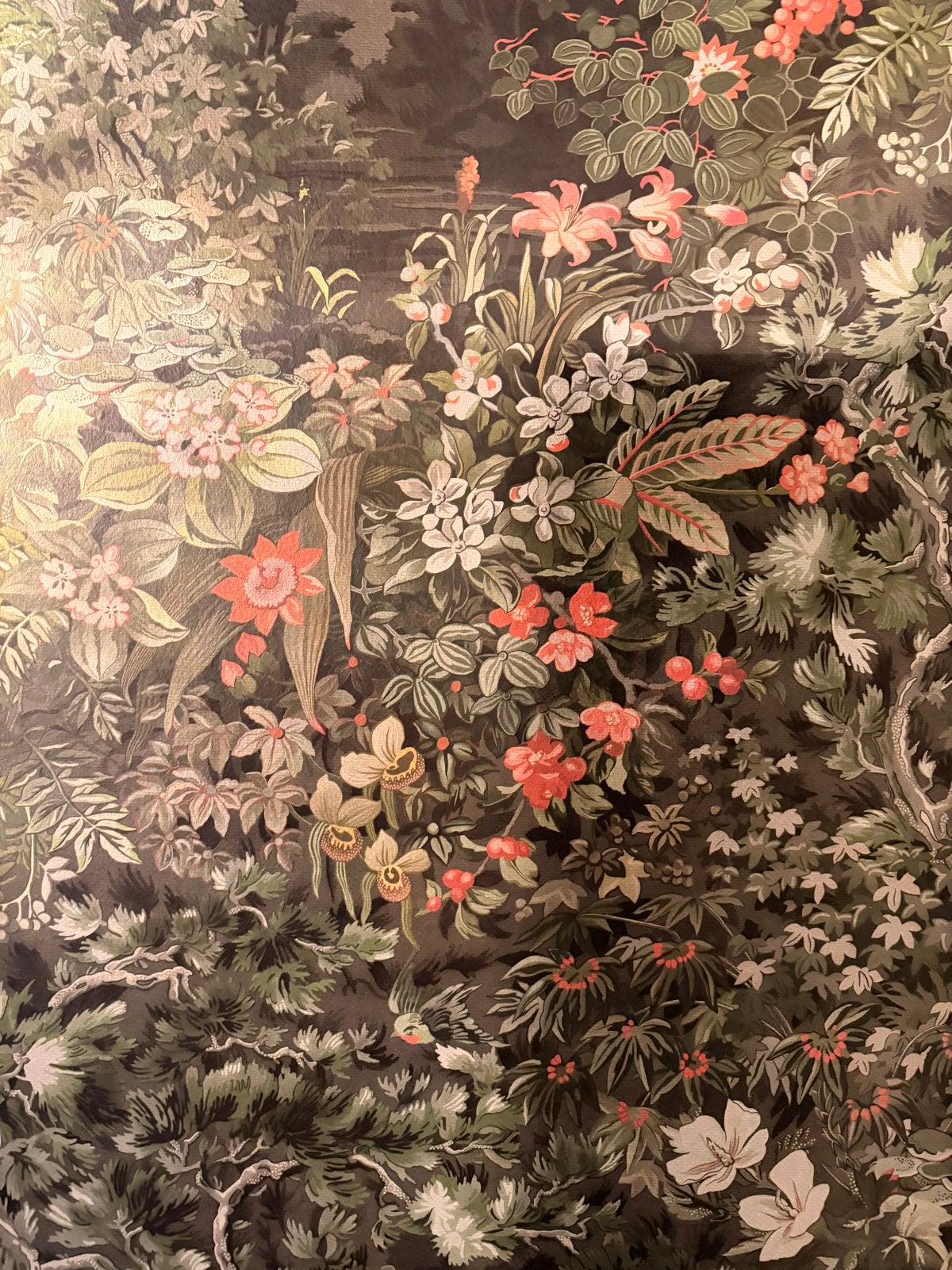 Cole & Son Botanical Woodland Behang 115/4011, Bladeren, Overige typen, Natuurlijk, Overige merken