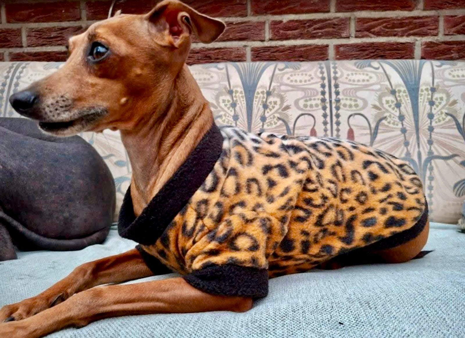 HANDMADE Hondentrui Xolo Italiaanse windhond Pup Pom Bolonka, Dieren en Toebehoren, Ophalen of Verzenden, Nieuw, Hondentrui, Handgemaakt