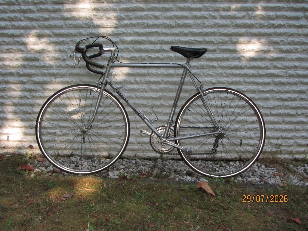 It's summer; you'd look sexy on a vintage racefiets, Gebruikt, Ophalen, Overige merken, 10 tot 15 versnellingen