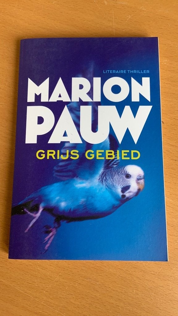 Marion Pauw - Grijs gebied, Ophalen of Verzenden, Zo goed als nieuw