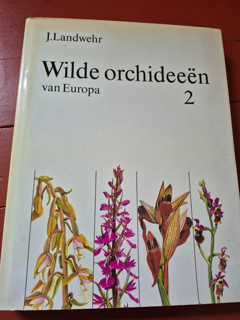 Wilde orchideeën van Europa 2 - J. Landwehr, Boeken, Natuur, Gelezen, Bloemen, Planten en Bomen, Verzenden
