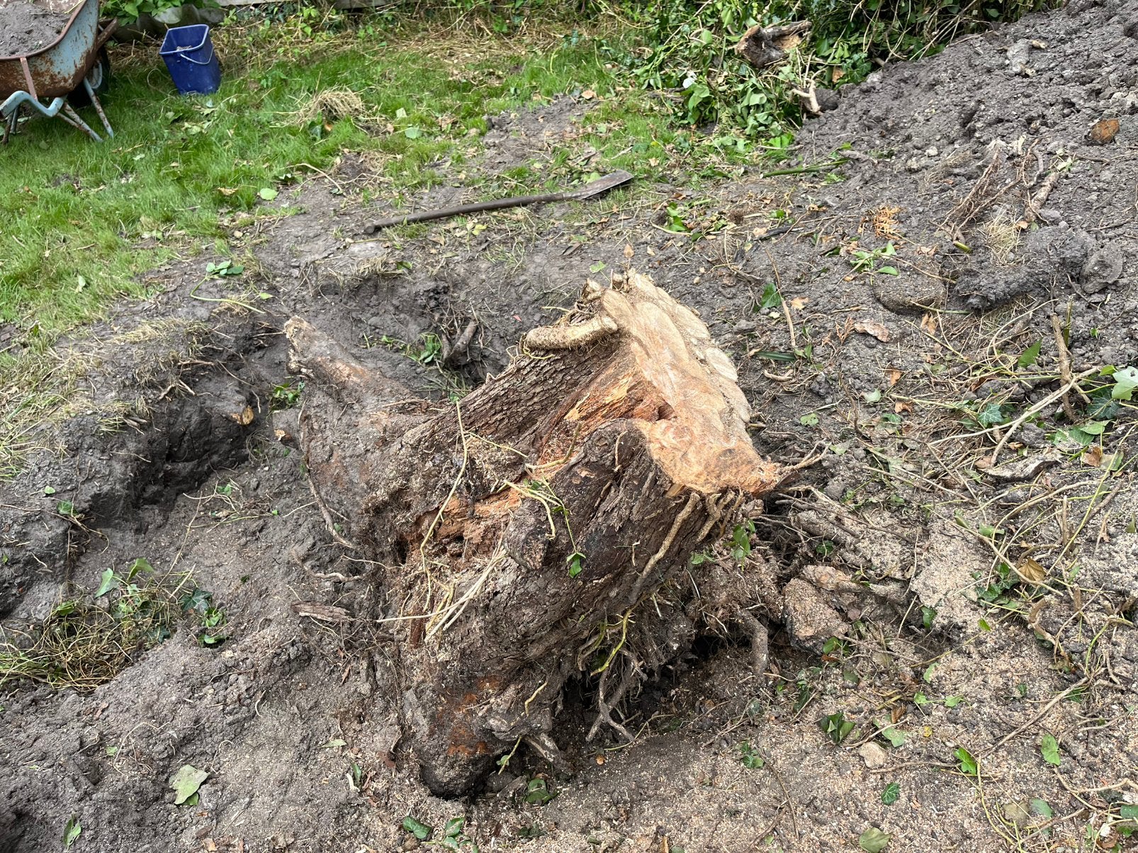 Gratis brandhout voor openhaard, Minder dan 3 m³, Ophalen
