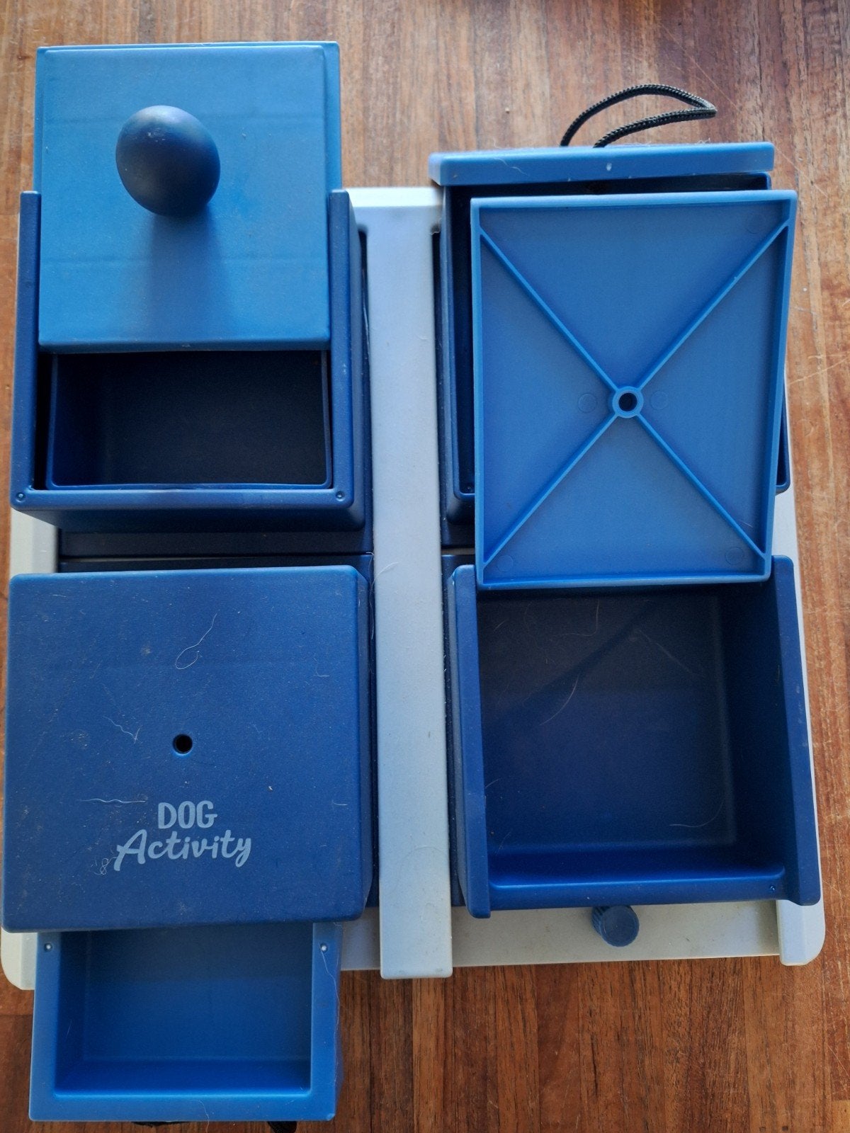 hondenpuzzel denkspel hond zoekspel, Ophalen of Verzenden
