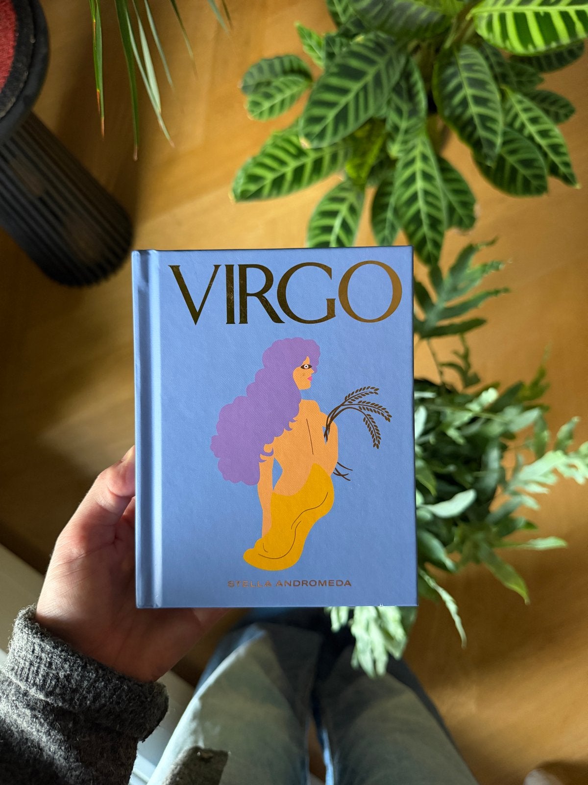 Virgo: Astrologie, Spiritualiteit & Zelfontwikkeling Boek, Boeken, Ophalen of Verzenden, Zo goed als nieuw, Astrologie, Achtergrond en Informatie