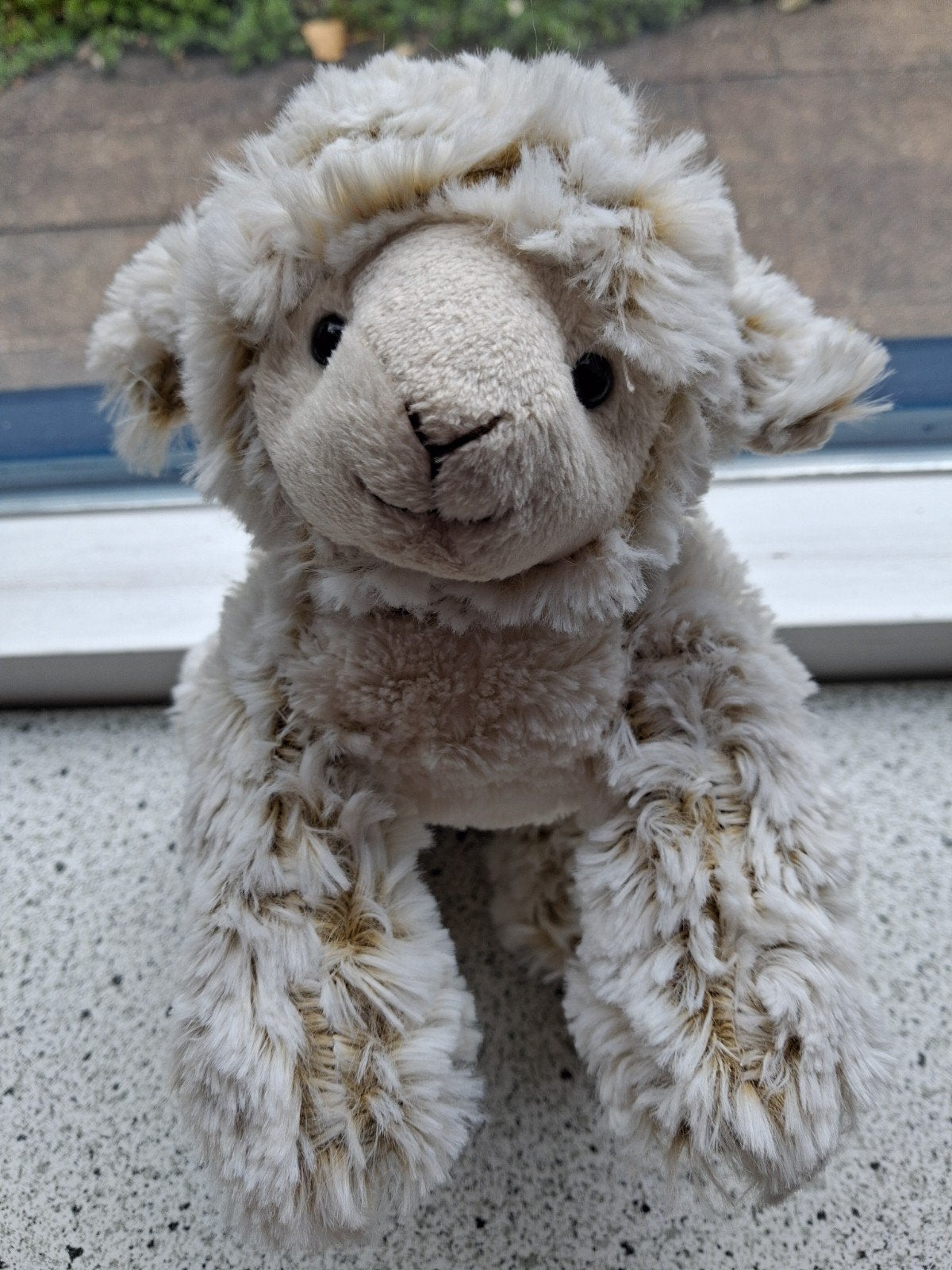 Schaap schaapje merk PIA International Soft Toys, Ophalen of Verzenden, Zo goed als nieuw, Overige typen, Wasbaar