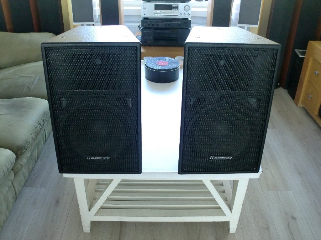 200 Watts Audiophony D12 Houte kasten 12 maanden garantie., Audio, Tv en Foto, Luidsprekers, Party speaker, Zo goed als nieuw