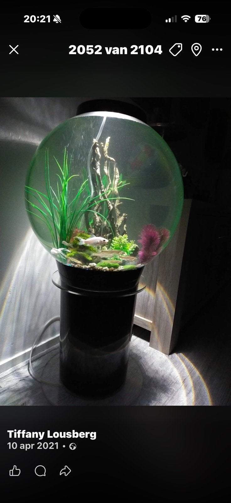 Biorb aqurium 60 liter, Dieren en Toebehoren, Ophalen of Verzenden, Inclusief deksel, Zo goed als nieuw, Leeg aquarium