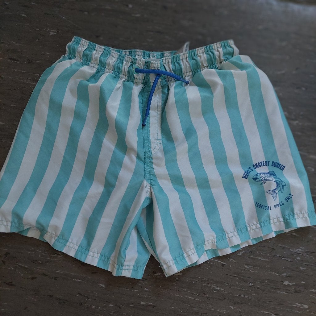 Zwembroek 146 152, Kinderen en Baby's, Kinderkleding | Maat 146, Gebruikt, H&M, Sport- of Zwemkleding, Ophalen of Verzenden