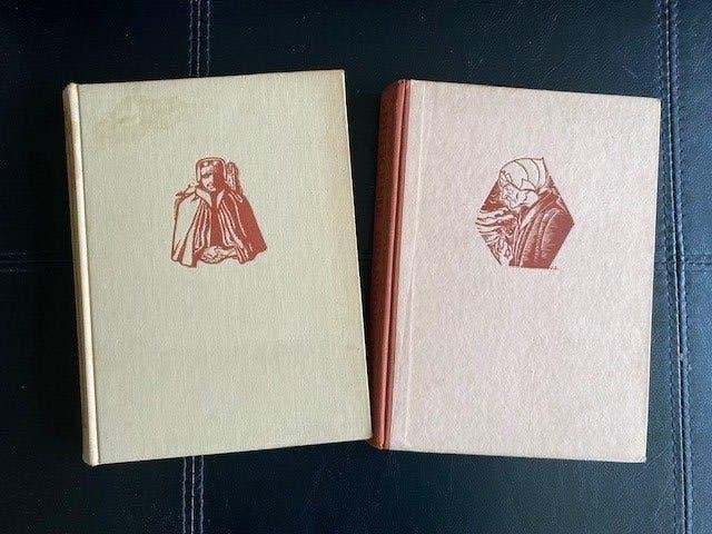 M Bruyn-Ouwehand: Springvloed, Dreigende branding, Boeken, Ophalen of Verzenden, Gelezen