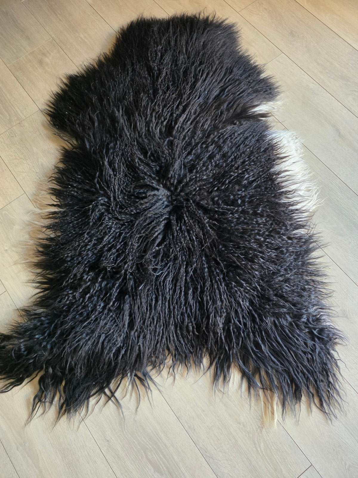 Schapenvacht xxl lange haren gekrulde Gotlander., Ophalen of Verzenden, Nieuw