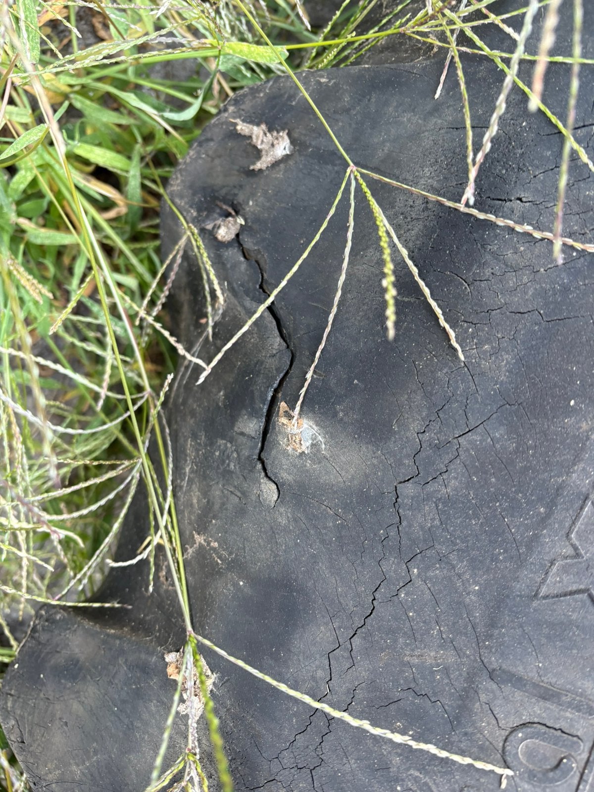Michelin Agribib 20.8r38, Ophalen of Verzenden, Gebruikt