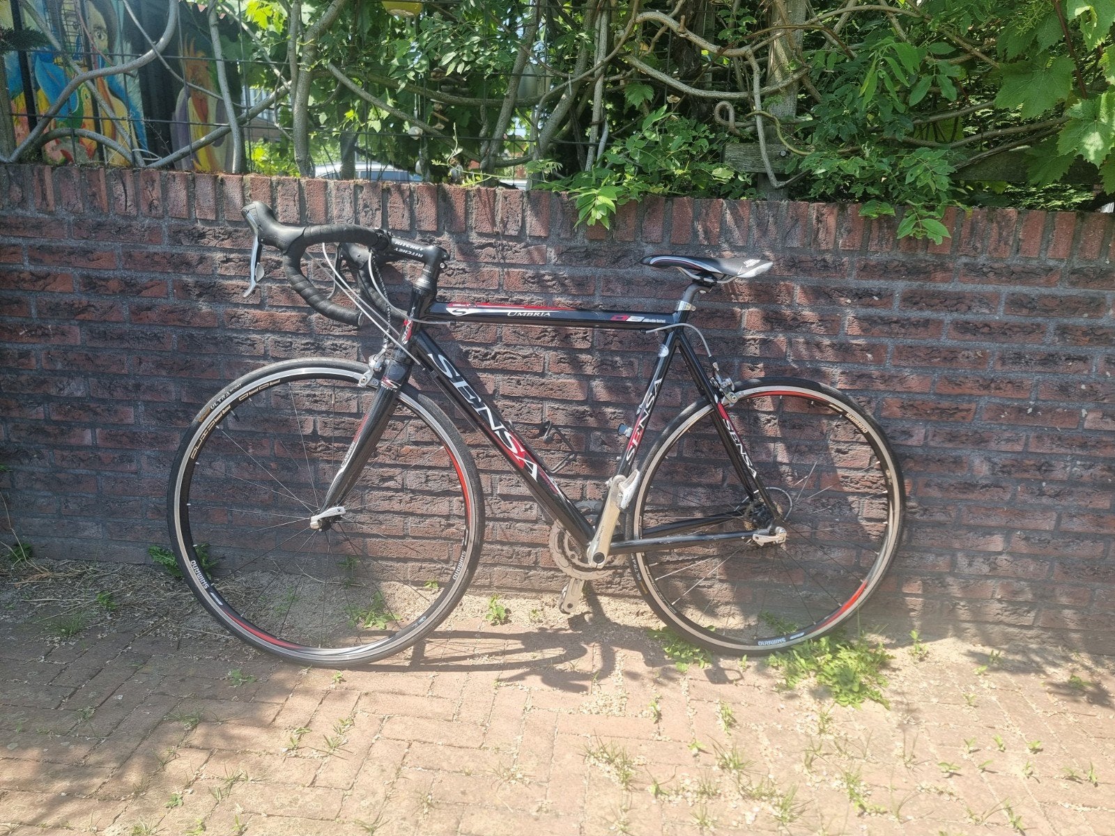 Sensa Umbra Racefiets - Lichtgewicht en Snel, Overige merken, 28 inch, Gebruikt, Aluminium