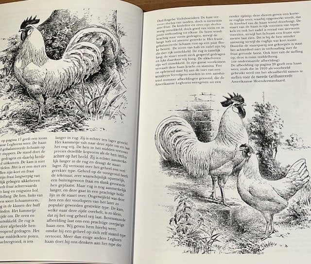 G.W. Tesselaar e.a. LEGHORNS. Ned. Leghornsclub. 2001, Ophalen of Verzenden, Zo goed als nieuw, Pluimvee, G.W. Tesselaar e.a