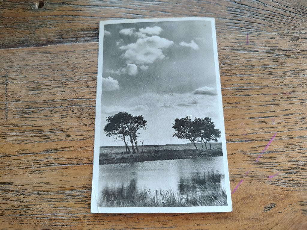 Nationaal park de hooge veluwe Hoenderloo, Ophalen of Verzenden, Gelderland