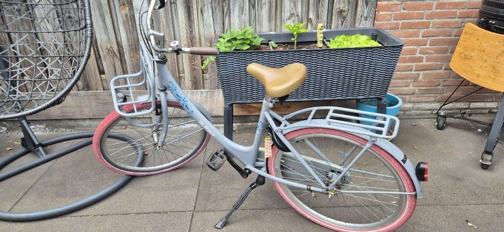 kinderfiets 26 inch Alpina, Fietsen en Brommers, Fietsen | Kinderfietsjes, Ophalen, Gebruikt, 20 inch of meer